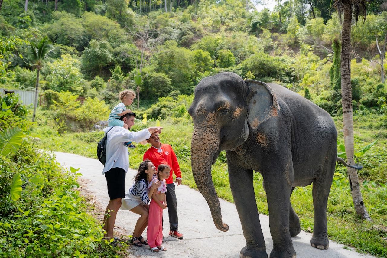 Family Session: A safe, fun, and educational program for kids and parents