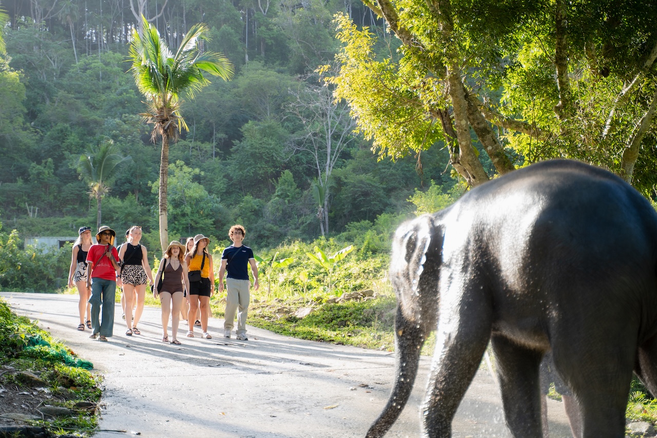 Ethical Elephant Experience