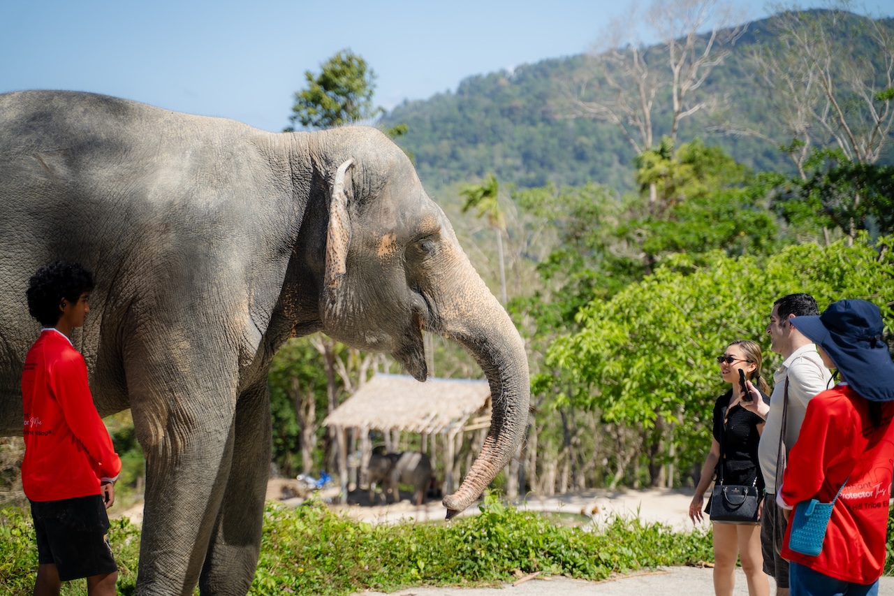 Walk & Forage with Elephant Sanctuary
